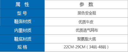 黑色防靜電安全鞋參數(shù).jpg